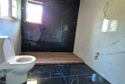 Proprietar,casa in Hlincea 170 mp,teren 1500 mp,aer curat,liniste Proprietar,casa in Hlincea 170 mp,teren 1500 mp,aer curat,liniste - 15