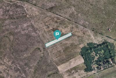 Teren Construcții extravilan de 10000 mp, în Moșnița Nouă - 6