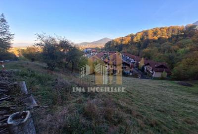 Teren de vanzare 2900 mp Brasov/Strada Ciresului - 3
