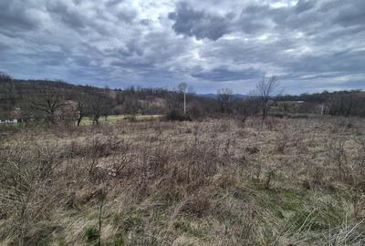 Teren de 5700 mp, în Iabalcea - 1