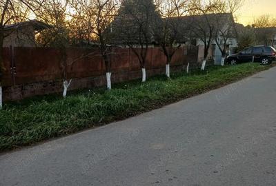 Casa de vanzare la tara, teren generos locatie linistita - 10