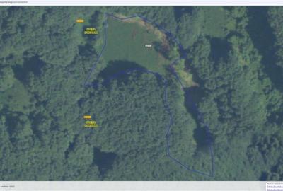 Teren montan cu priveliste si izvor - 5727mp in Buces, langa padure Teren montan cu priveliste si izvor - 5727mp in Buces, langa padure - 14