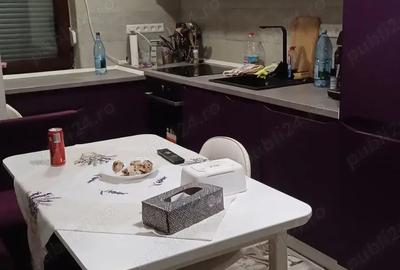 Apartament cu 3 cam, conf 1, parter inalt - caransebes - 5