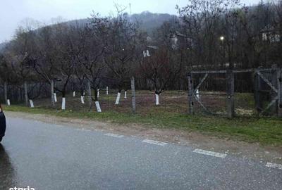 Casă cu 2 camere cu Teren 2800 Mp în Boțești - 12