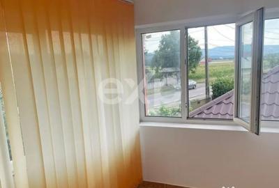 Casă cu 6 camere cu Teren 3646 Mp în Leontinești - 9