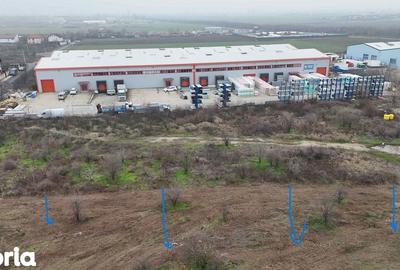 Teren de 5700 mp, în Clinceni - 4