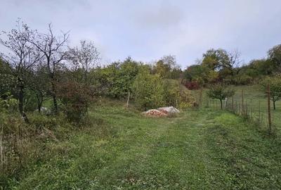 0 % comision, Lot format din 3 parcele de teren, zona Antonio Gaudi - 11