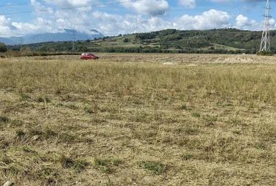 Teren extravilan Vulcan BV - 4