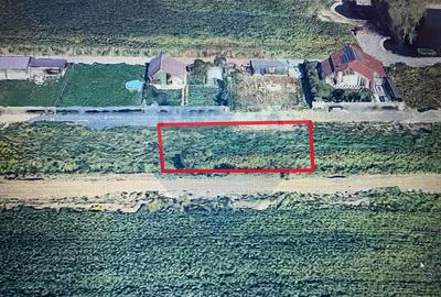 Teren de 559 mp, în Est - 3