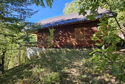 Cabana de vanzare Lep?a, jud. Vrancea - Cheile Ti?i?ei - 9