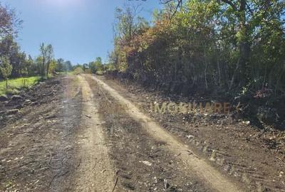 TEREN INTRAVILAN 11000 MP - 6