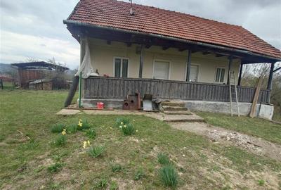 Teren intravilan de 9370 mp, în Țebea - 19