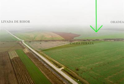RECO Teren extravilan 5800 mp Livada de Bihor - 1