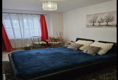 Mobilat si renovat!!!! Garsoniera 5 minute de Medicina - 6