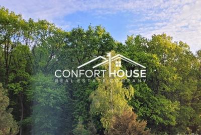 VILA D+P+E+M, 12 camere, piscina , padure, IANCU NICOLAE - 32