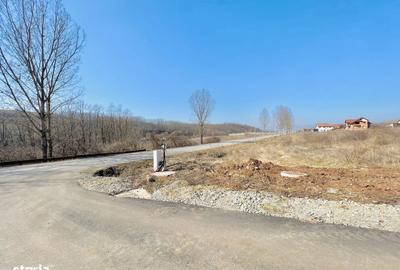 Teren de 1493 mp, în Ciugud - 4