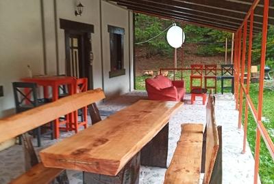 Casă de vacanță în Pojorâta - 13