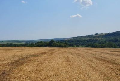 Spațiu comercial, în Rudicica - 6