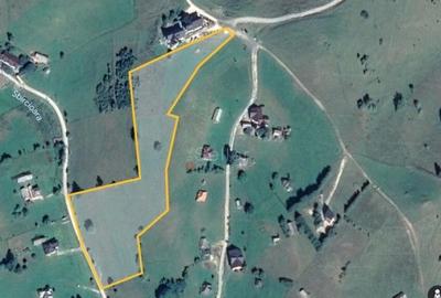 Teren de 13000 mp, în Șirnea - 17