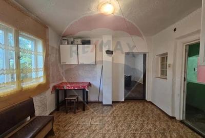 Casă cu 3 camere cu Teren 12955 Mp în Jdioara - 9