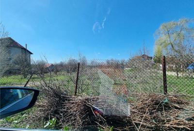 Loturi teren zona SERE Alexandria si Nanov - 10