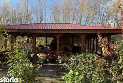 Casă cu 4 camere cu Teren 8800 Mp în Girov - 8