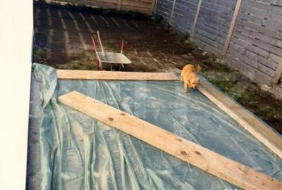 Casă cu 4 camere cu Teren 350 Mp în Tărlungeni - 8