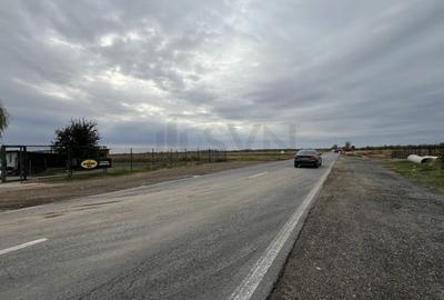 Teren Construcții intravilan de 15000 mp, în Ionești - 14