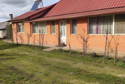 Casă cu 3 camere cu Teren 2000 Mp în Cihei - 9