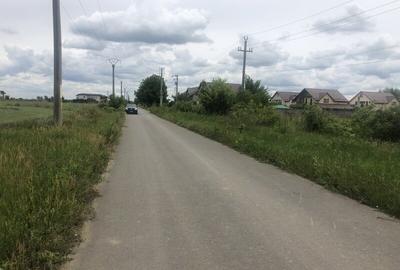 Vanzare Teren Rezidential 1 Decembrie Ilfov 35000mp - 4