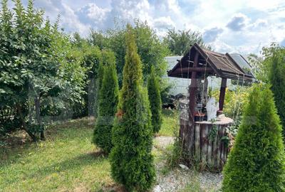 Casă cu 3 camere cu Teren 875 Mp în Botizului - 3