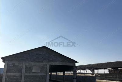 Spațiu comercial, de 4,800 mp, în Araci - 4