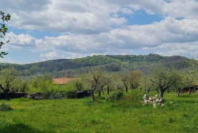 Domeniu Pensiune Transfagarasan 20855 Domeniu Pensiune Transfagarasan 20855 - 3