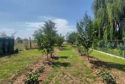 Casă cu 3 camere în Tărtășești - 8
