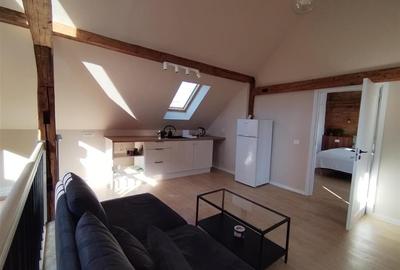 Apartament modern de inchiriat  zona Bartolomeu, la curte, complet renovat - 16