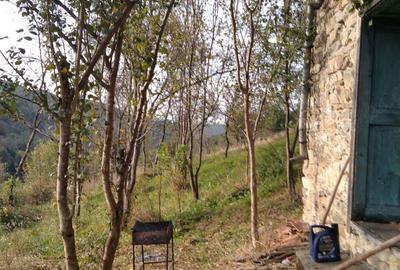 Vand casa la munte - 6