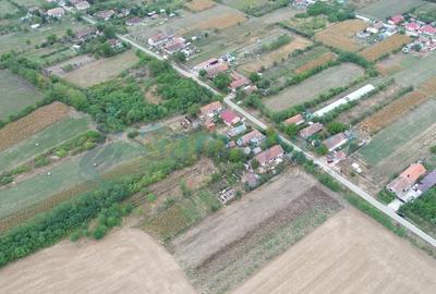 Teren Construcții intravilan de 1769 mp, în Bicaci - 7