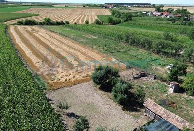 Casă individuală cu 3 camere cu Teren 4192 Mp în Bicaci - 8