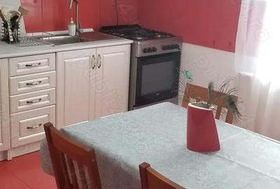 Casa Stupini complet mobilata, curte proprie cu foisor - 9