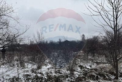 Teren de vanzare in Butimanu, Dambovita - Oportunitate de investiti - 2