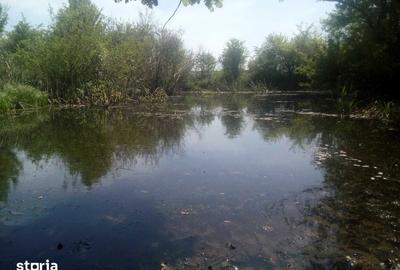Teren de 50000 mp, în Făgețelu - 2