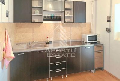 Apartament cu 3 camere semidecomandat, mobilat în Micălaca - 3