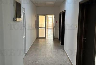 Inchiriere Spatiu office- comercial-360 mp Bd.Timisoara- Sector 6 - 5