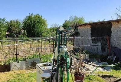 Casă cu Teren 1542 Mp în Mitreni - 4