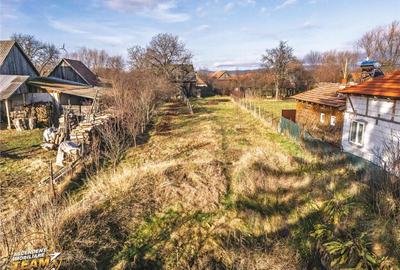 FILM! Casa cu sura, pivnita, balta cu pesti, 2.280 mp teren - 3