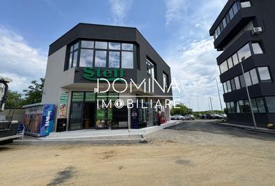 Garsonieră decomandată în Primăverii - 6