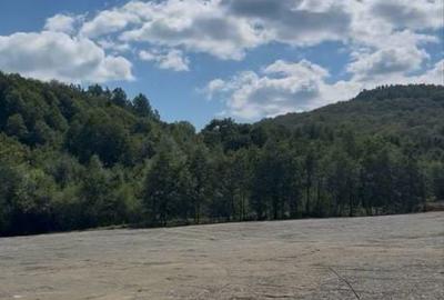 Spațiu comercial, în Sucevița - 4