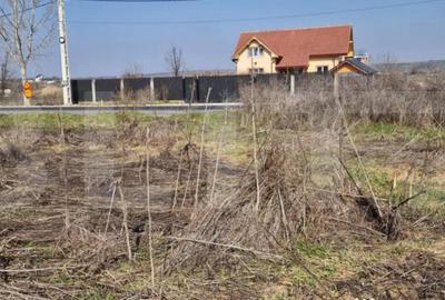 Teren de 15256 mp, în Central