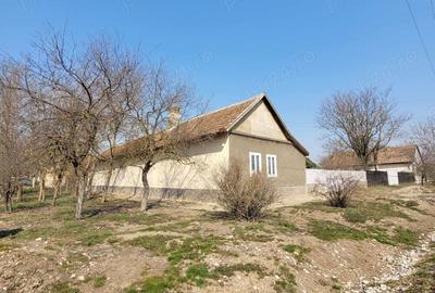 Vand casa cu gradina in comuna Semlac , jud. Arad - 2