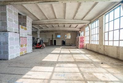 Spațiu industrial, de 650 mp, în Săcălaz - 5